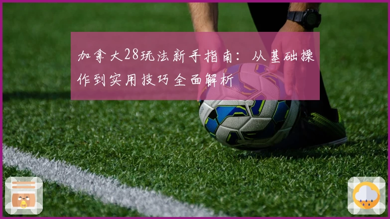 加拿大28玩法新手指南：从基础操作到实用技巧全面解析