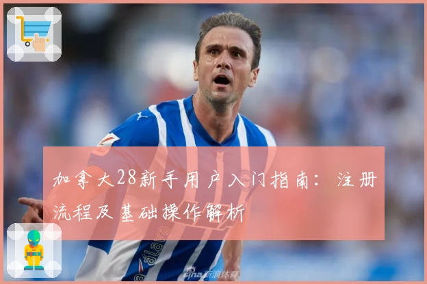 加拿大28新手用户入门指南：注册流程及基础操作解析