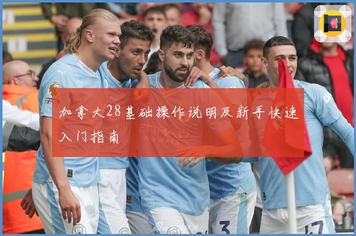 加拿大28基础操作说明及新手快速入门指南