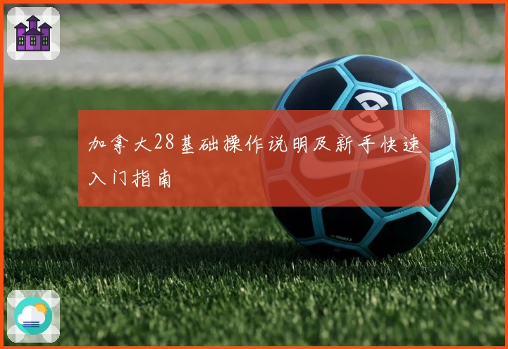 加拿大28基础操作说明及新手快速入门指南