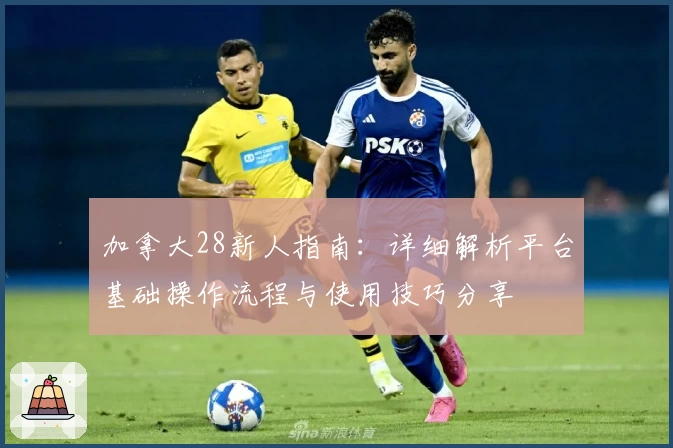 加拿大28新人指南:详细解析平台基础操作流程与使用技巧分享