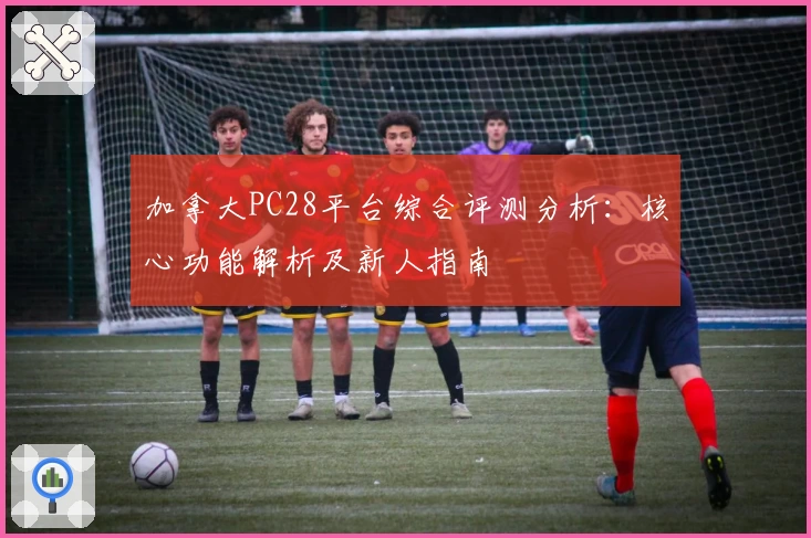 加拿大PC28平台综合评测分析：核心功能解析及新人指南