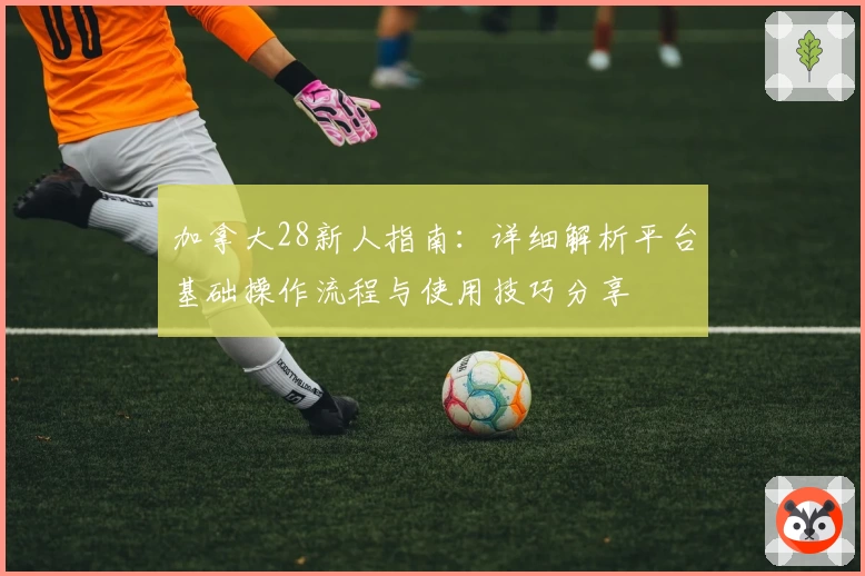 加拿大28新人指南：详细解析平台基础操作流程与使用技巧分享