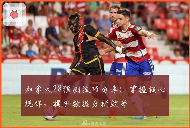 加拿大28预测技巧分享：掌握核心规律，提升数据分析效率