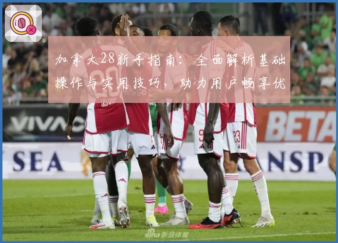 加拿大28新手指南：全面解析基础操作与实用技巧，助力用户畅享优质使用体验