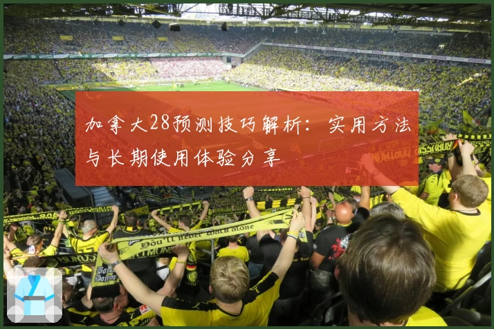 加拿大28预测技巧解析：实用方法与长期使用体验分享