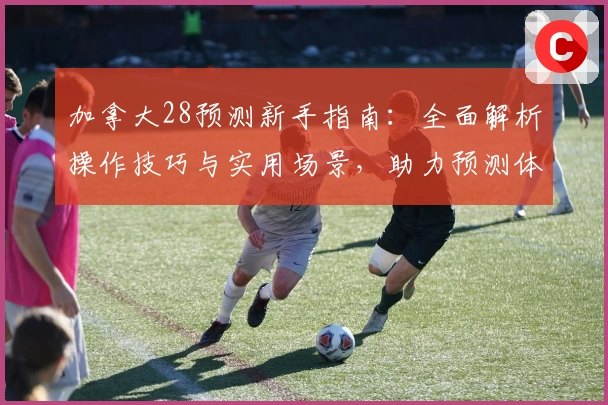 加拿大28预测新手指南：全面解析操作技巧与实用场景，助力预测体验提升